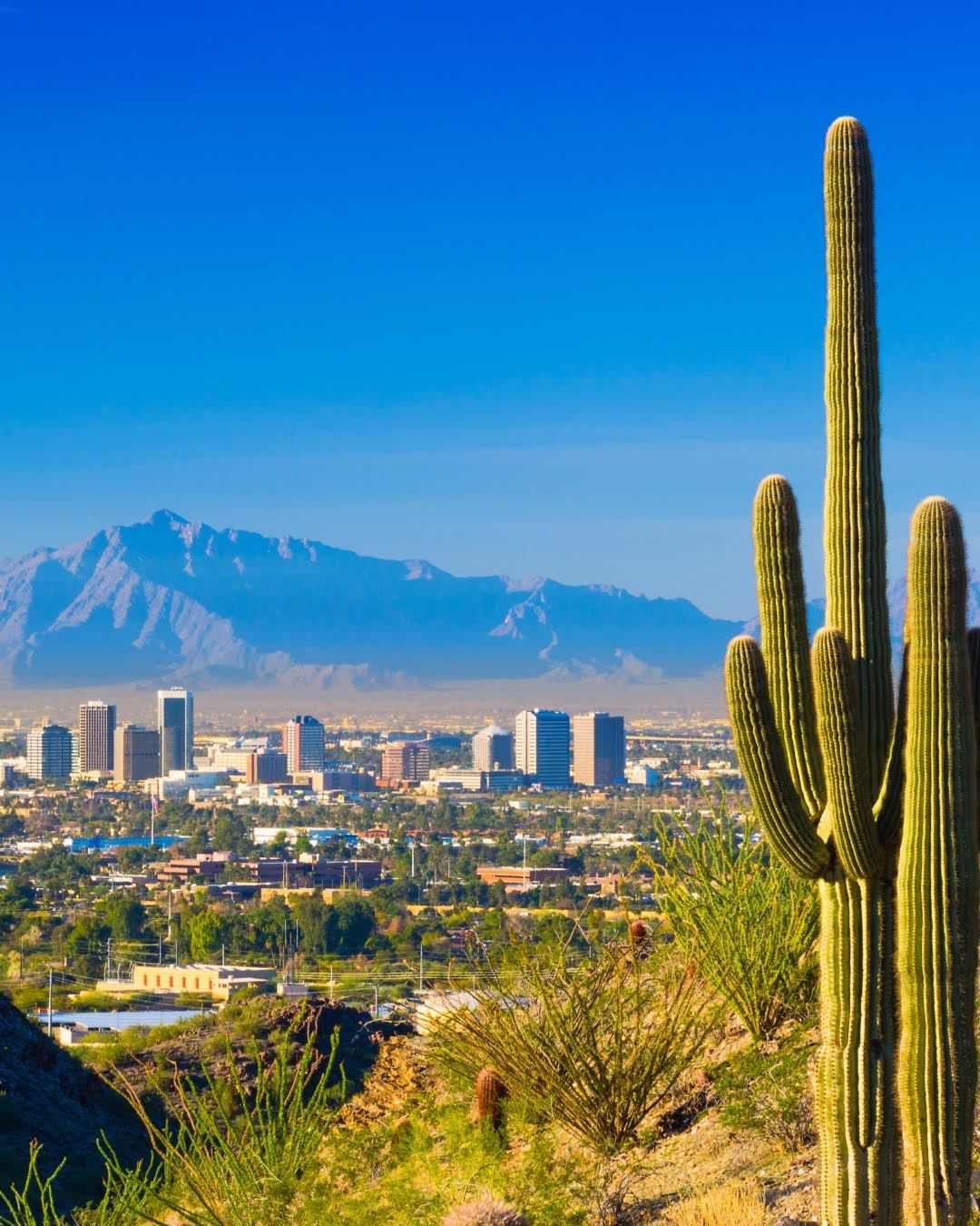 Phoenix skyline and Camelback Mountain framed by a saguaro cactus
