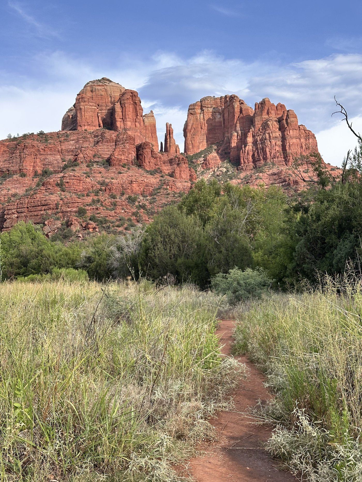 Sedona red rocks trail, a favorite Arizona day trip